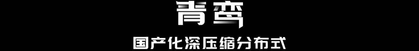 青鸾-国产化深压缩分布式